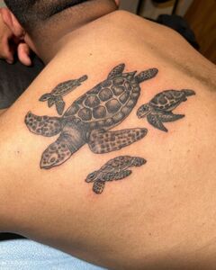 Tattoo of a large sea turtle with three smaller turtles around it, on a person's upper back.