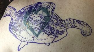 Blue stencil of a sea turtle on a person's back, prepared for tattooing.