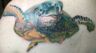 Colorful tattoo of a sea turtle on a person's back; blue, green, and yellow scales, stern expression.