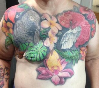 Chest tattoo featuring a gray parrot, red flowers, white feathers, and tropical foliage.