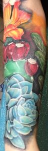 Colorful floral tattoo on an arm, featuring succulents, flowers, and a dark background.