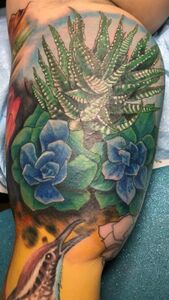 Tattoo of succulents in shades of blue and green on a human arm.