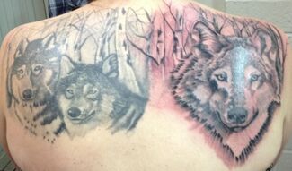 Tattoo on a back, featuring three wolf heads with detailed fur, set in a birch forest design.