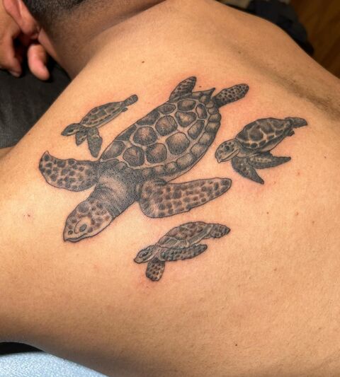 Sea turtle family tattoo on a shoulder blade